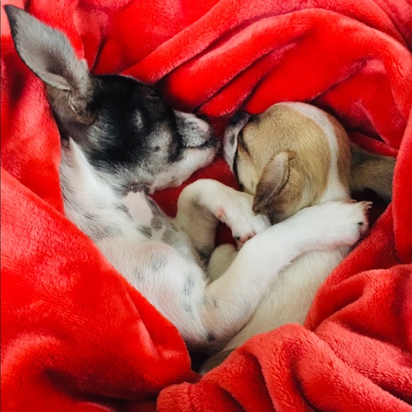 Profile Picture of Hailee Larsen (@haileelue) on Poshmark