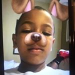 Profile Picture of Jarvis Martin (@jarvis_the_boxer) on Instagram