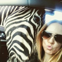 Profile Picture of Taryn Meyer (@taryn-meyer-3) on Quora