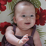 Profile Picture of Nilce Schlender (@nilceschlender) on Flickr