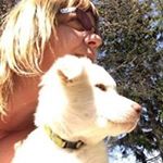 Profile Picture of Nancy Latimer (@n.latimer) on Instagram