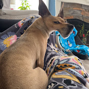 Profile Picture of Brian Duenas (@brianduenas8287) on Youtube