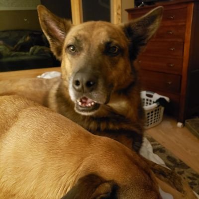 Profile Picture of Lora Ray (@Loralray) on Twitter