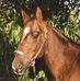 Profile Picture of Sharon Connelly (@sharon.connelly.5070) on Facebook