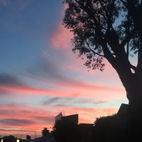 Profile Picture of Abby Doherty (@abby-doherty-5) on Quora