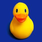Profile Picture of Michael Eggen (@michaeleggenphotography) on Instagram
