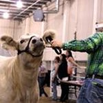 Profile Picture of Jason Klamm (@klammpatty) on Instagram