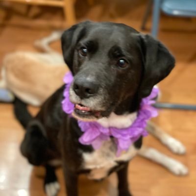 Profile Picture of Christy Jo Fogarty (@ChristyJoFog) on Twitter