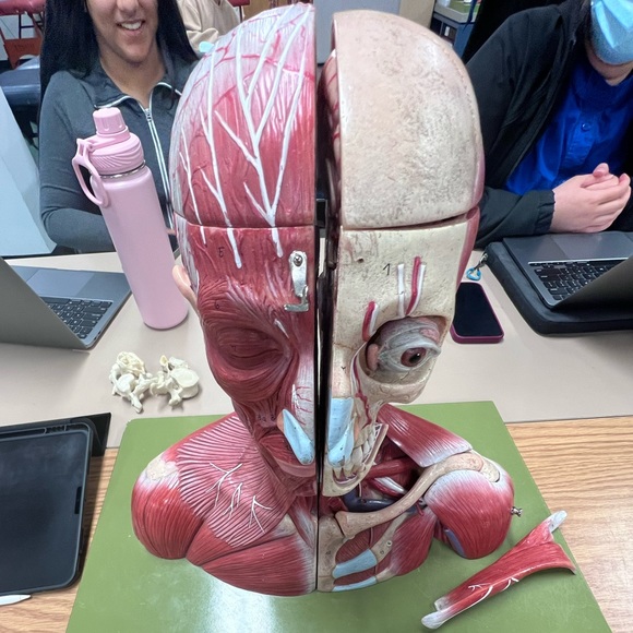 Profile Picture of Eljee Abasolo (@eljeetrisch) on Poshmark