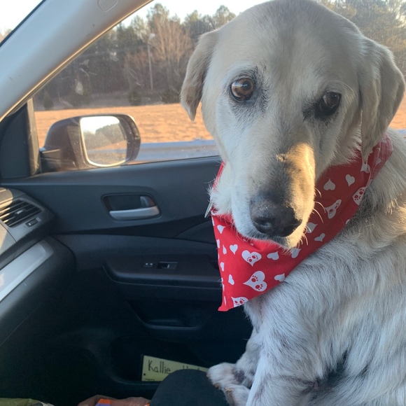 Profile Picture of Christina Rascoe (@poshshopper747) on Poshmark