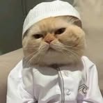 Profile Picture of Zeynu Mohammed (@zeynu.muhammad.1) on Facebook