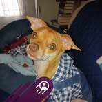 Profile Picture of Tracey Loreta Seebeck (@tracey.seebeck) on Facebook