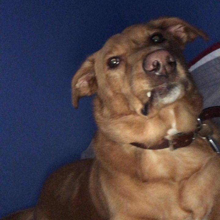 Profile Picture of Seth Capps (@sethcapps) on Tiktok