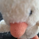 Profile Picture of Steve The Duck (@stevesduckventures) on Instagram