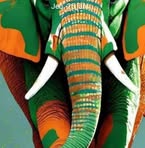 Profile Picture of Claude N'draman (@claude.ndraman) on Facebook