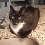 Profile Picture of Yongwon Lee 이용원 (@yongwonlee01) on Instagram