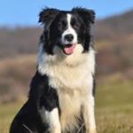 Profile Picture of Dr Emmanuel Pinto (@dremmanuelpinto) on Instagram