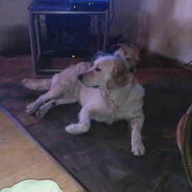 Monika Fischer - Pinterest Profile Picture of Monika Fischer (@fischermonika1308) on Pinterest