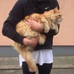 Profile Picture of Grayson⚽️🇭🇺 (@graysonadler09) on Instagram