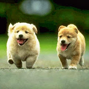 Profile Picture of David Brint (@davidbrint3395) on Youtube