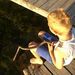 Profile Picture of Andree Thibert (@andreethibert) on Pinterest