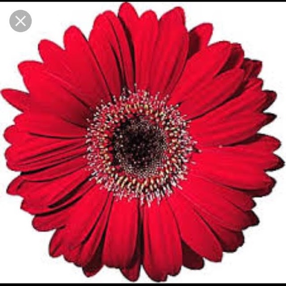 Profile Picture of Catherine Colton (@catlcolton) on Poshmark