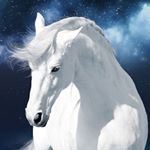 Profile Picture of jeronimoleon (@jeronimoleon5) on Instagram