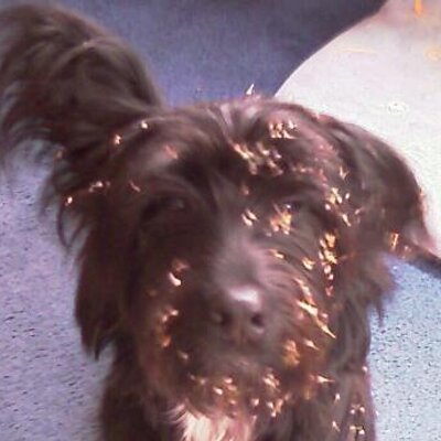 Profile Picture of Ian Bradbury (@IrBradbury) on Twitter