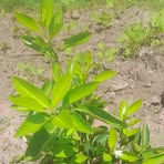 Profile Picture of Terry Terry (@Terry-Terry) on Facebook