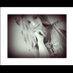 Profile Picture of Michelle Heldt (@heldt_michelle) on Twitter