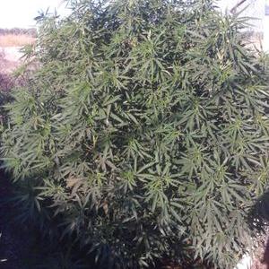 Profile Picture of Michael Tripp (@MiMiketripp29) on Twitter