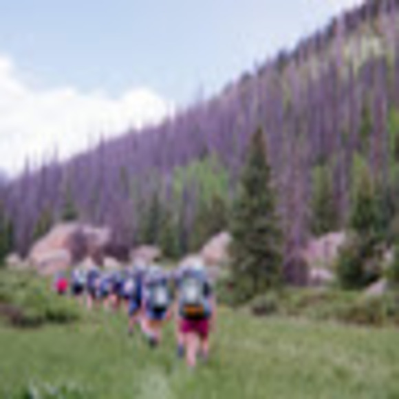 Profile Picture of Jenna Swiney (@js312738) on Poshmark