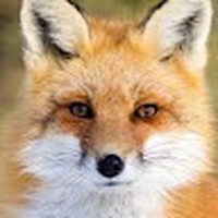 Profile Picture of Jacob Fonseca (@jacob-fonseca-18) on Quora