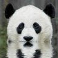 Profile Picture of Alex Kuo (@alex-kuo-36) on Quora