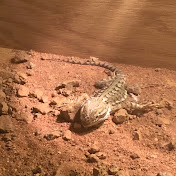 Profile Picture of Daniel Marlow (@Suitvr363) on Youtube