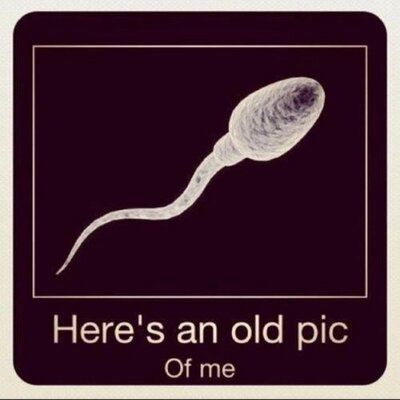 Profile Picture of Britton Campbell (@MadSc13ntist31) on Twitter
