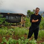 Profile Picture of Jaime Massanet (@cultivosdemitierra) on Instagram