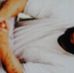 Profile Picture of Roscoe Barnes (@roscoe.barnes.560) on Facebook