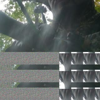 Profile Picture of Trevor Burroughs (@trevor.burroughs) on Instagram