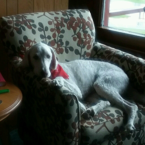 Shelley Bechel - Poshmark Profile Picture of Shelley Bechel (@shelleybee700) on Poshmark