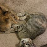 Profile Picture of Aaron John Martindale (@aaronjohnmartindal) on Instagram