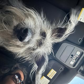 Profile Picture of Lillian Mata (@lillianmata) on Instagram