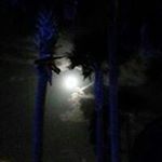 Profile Picture of Paul Dunaway (@paul.dunaway) on Instagram