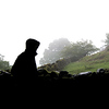 Profile Picture of Martin Walsh (@martinwalsh7) on Flickr