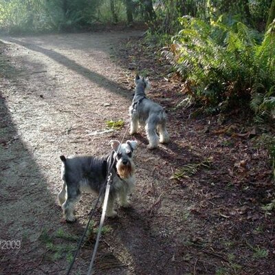 Profile Picture of Lillian Whitehead (@YCYOR) on Twitter