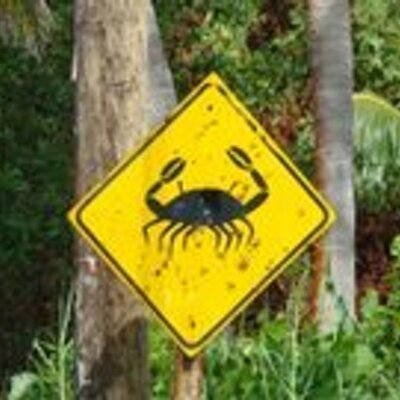 Profile Picture of Robert Crabbe (@mudcrabbe) on Twitter