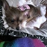 Profile Picture of Nancy Carnes (@nancy.carnes.182) on Instagram