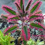 Profile Picture of Rachna Shetty (@rachna.shetty24) on Instagram