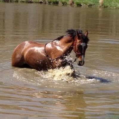 Profile Picture of 🇺🇸Joe Noll🇺🇸 (@noll62) on Twitter
