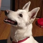 Profile Picture of Danny Richey (@danny.richey.56) on Instagram